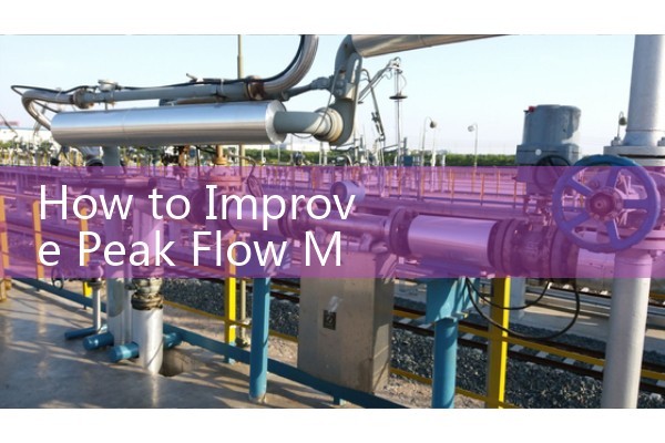 How to Improve Peak Flow Meter Reading: Proper technique includes using an upright posture and taking the deepest breath possible before exhaling.